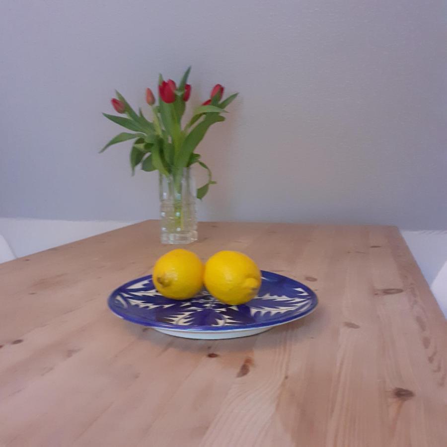 Apartament Solyst Silkeborg Zewnętrze zdjęcie